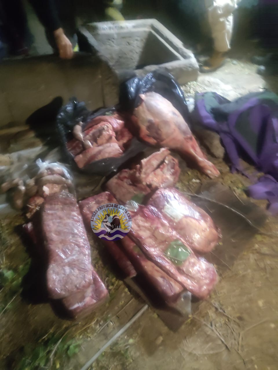 Operativo policial logra desbaratar red de robo de carnes en Puerto Deseado (3)
