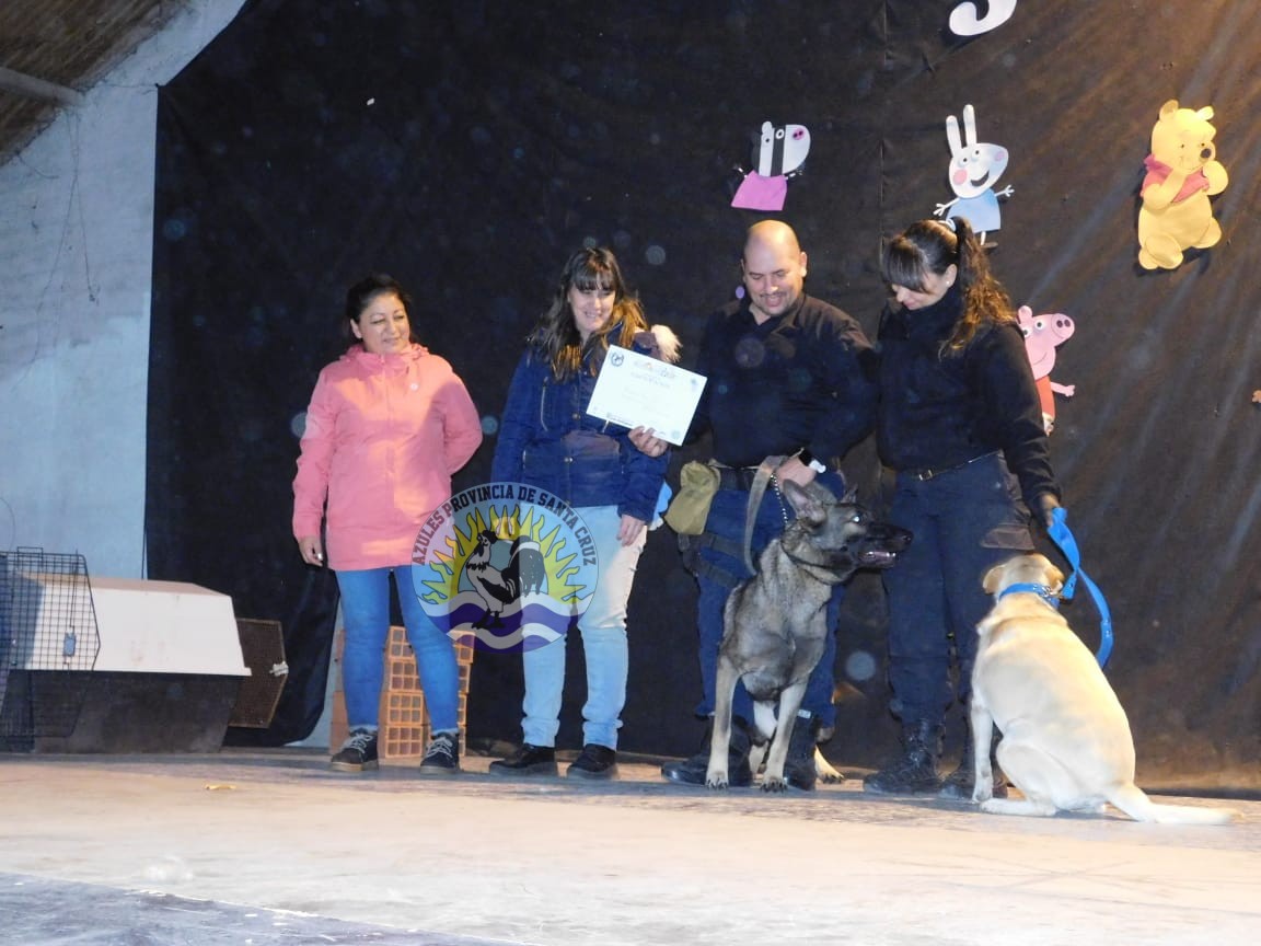 Éxito en la 3ra Expo Animal Demostraciones con Perros Biodetectores (1)