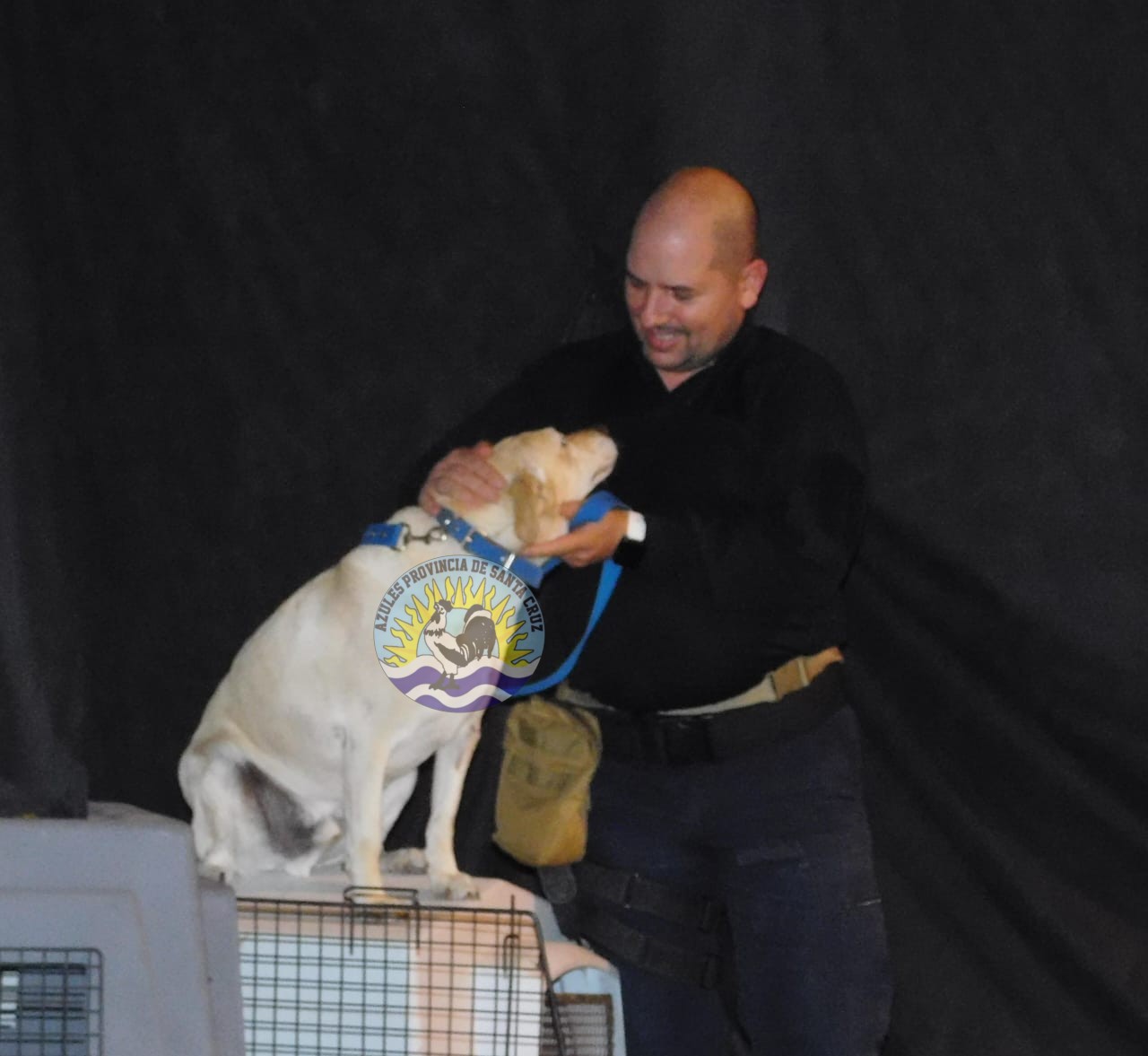 Éxito en la 3ra Expo Animal Demostraciones con Perros Biodetectores (6)
