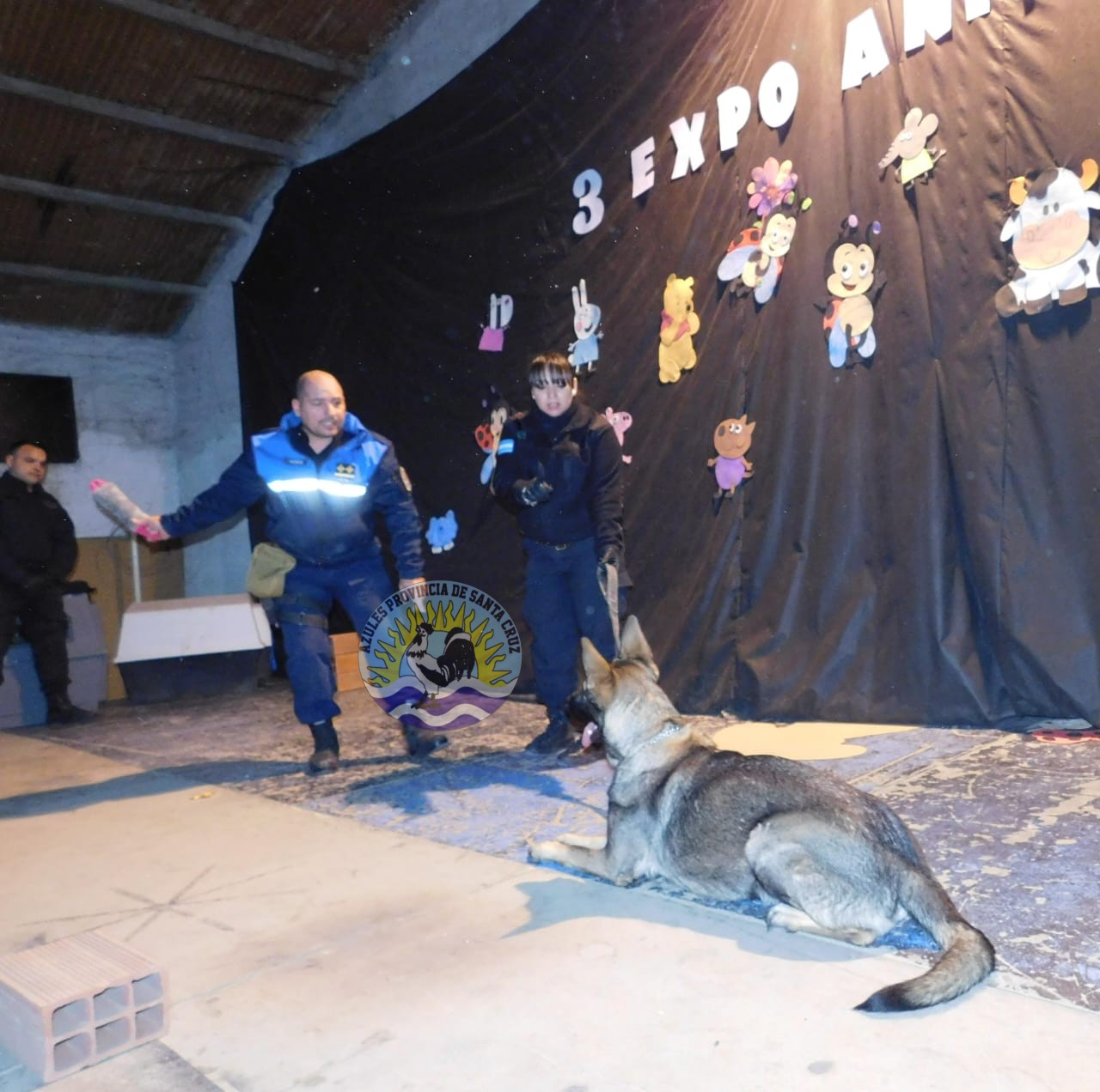 Éxito en la 3ra Expo Animal Demostraciones con Perros Biodetectores (7)