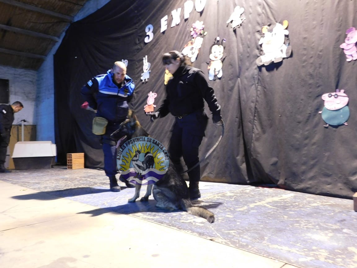 Éxito en la 3ra Expo Animal Demostraciones con Perros Biodetectores (9)