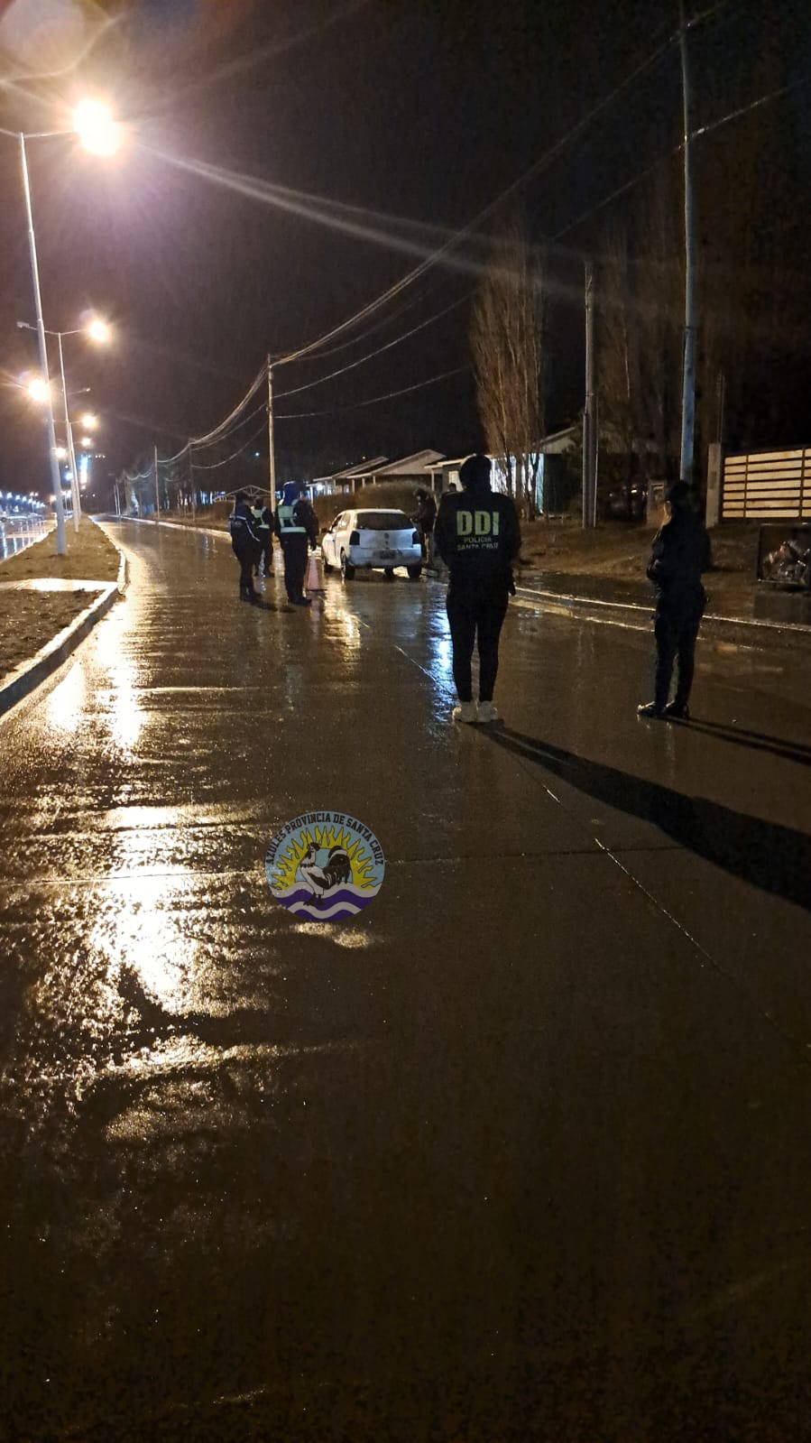 Operativo Nocturno en El Calafate Canes Detectores de Narcóticos y Policía en Acción (2)