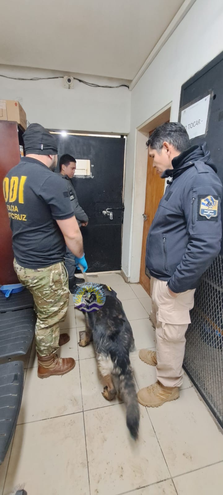 Operativo en El Calafate Canes Detectores K9 Candy y Anubis Participan en Controles Preventivos con Importantes Hallazgos (6)