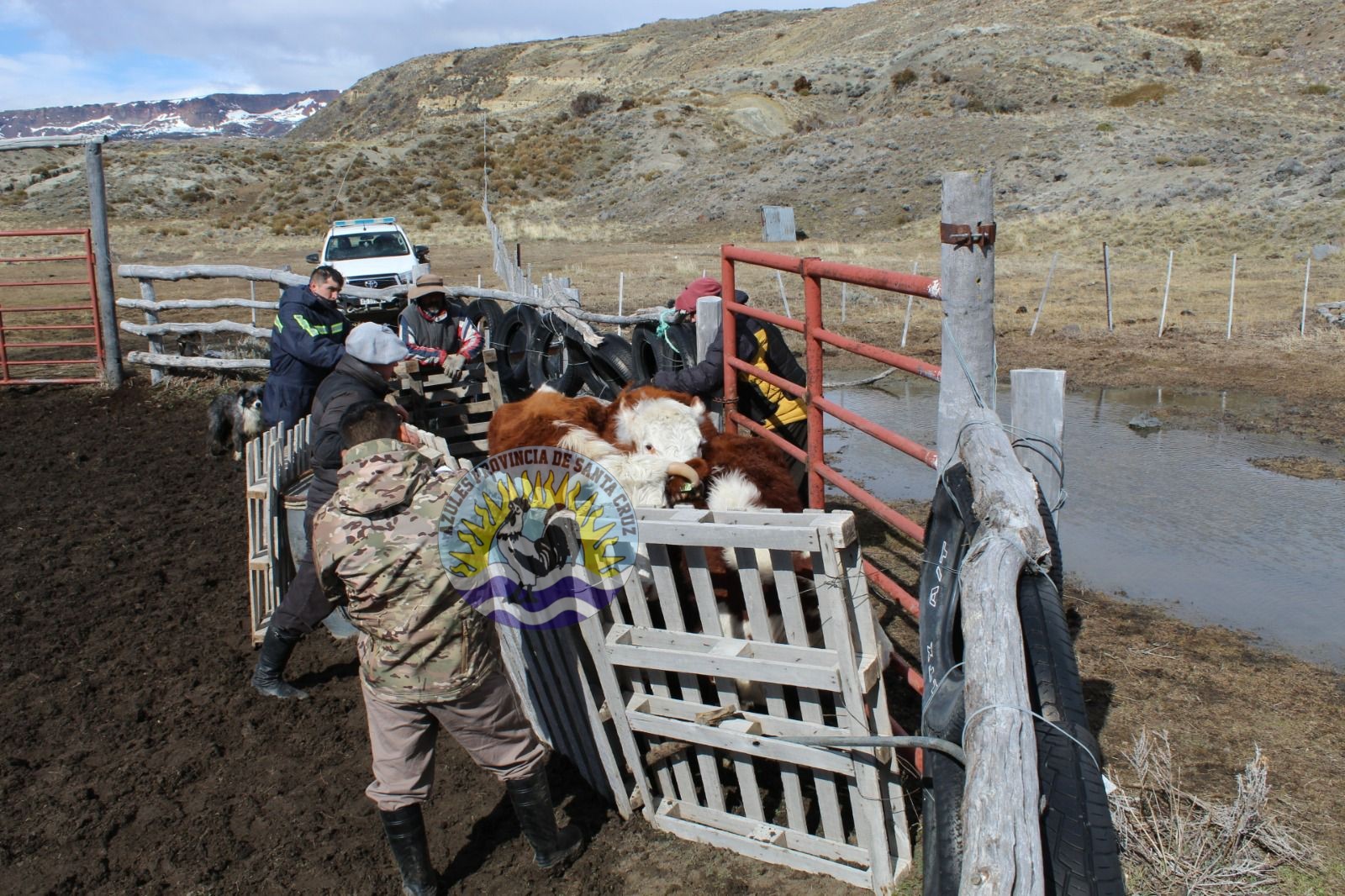 Capacitación en uso de extintores portátiles (1)