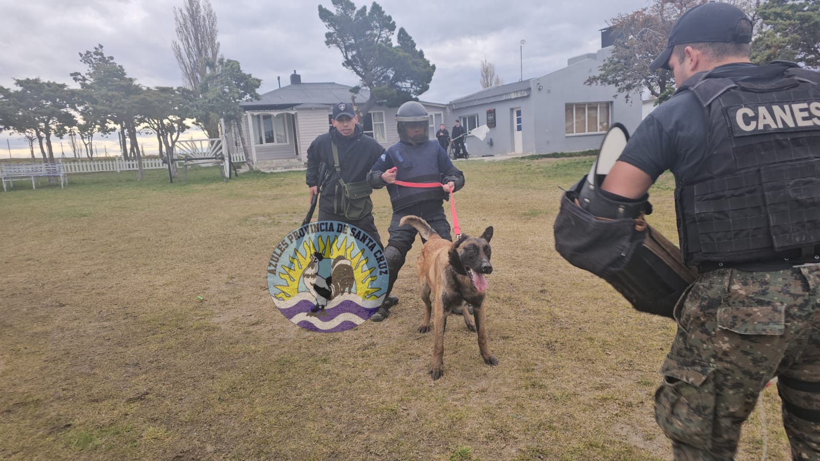 Concluye con Éxito el 4to Curso Básico Nacional de Guía de Canes de Seguridad, Formando Nuevos Especialistas (15)