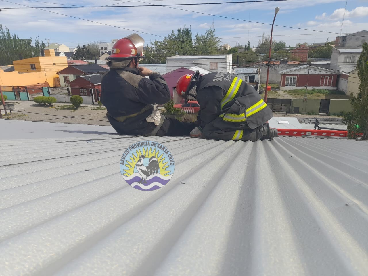 Intervenciones por fuertes vientos de las diferentes divisiones de bomberos en la provincia (3)