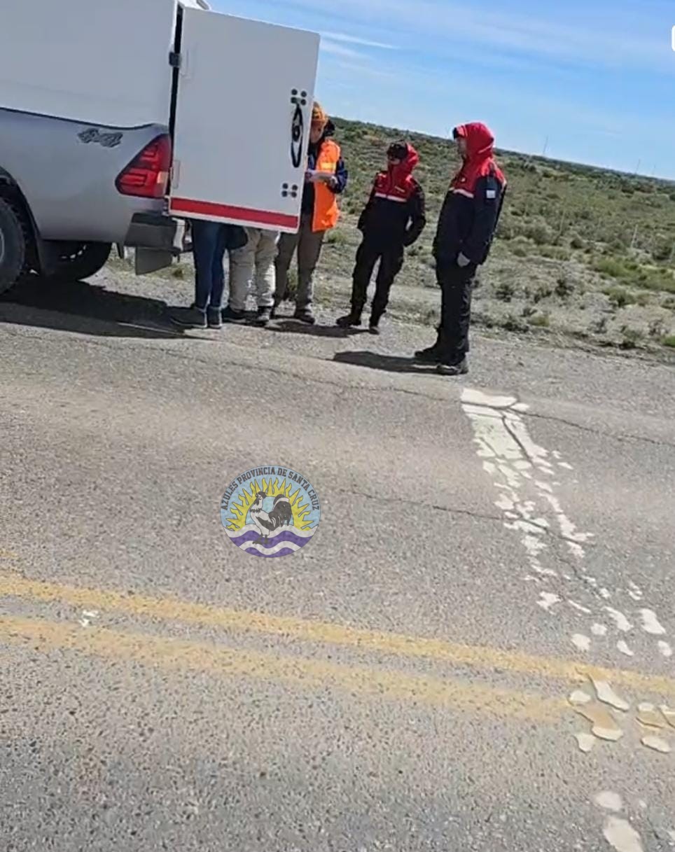 Operativo de control vehicular en Ruta Provincial 12 arroja resultados significativos (1)