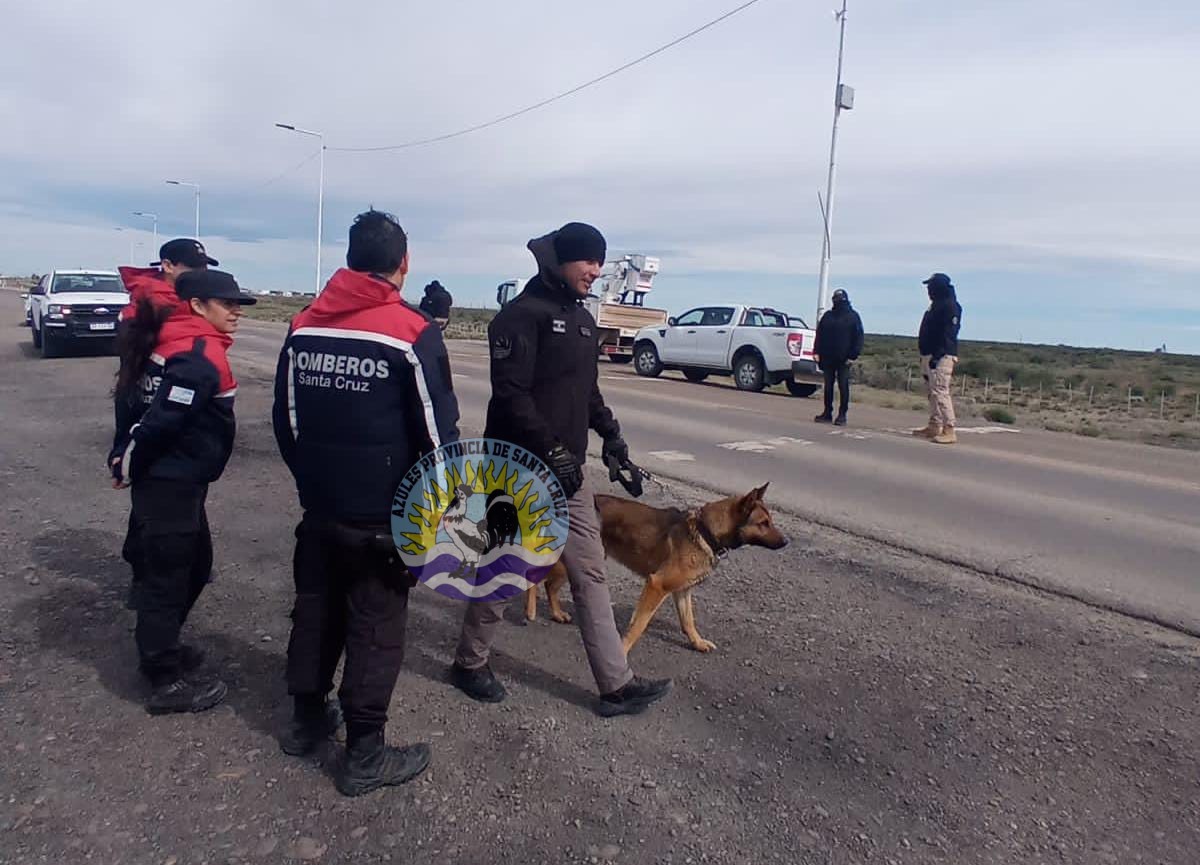 Operativo de control vehicular en Ruta Provincial 12 arroja resultados significativos (2)