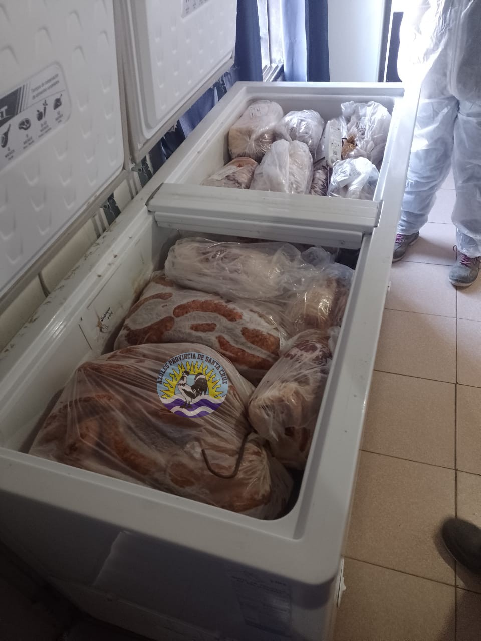 Continúa el operativo de secuestro de carne en mal estado (2)