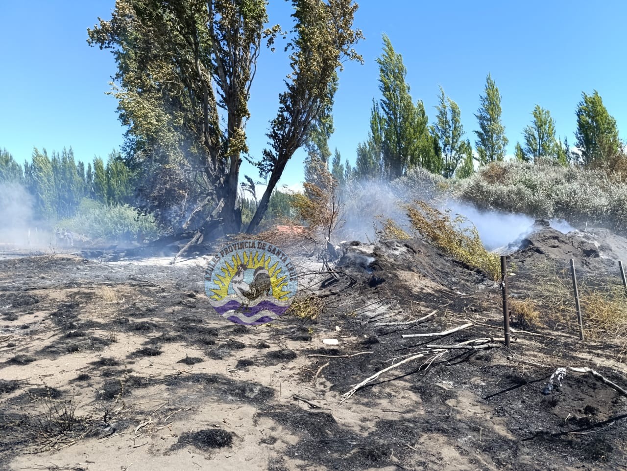 Control de incendio en una chacra de Los Antiguos rápida intervención de bomberos y comisaría (1)