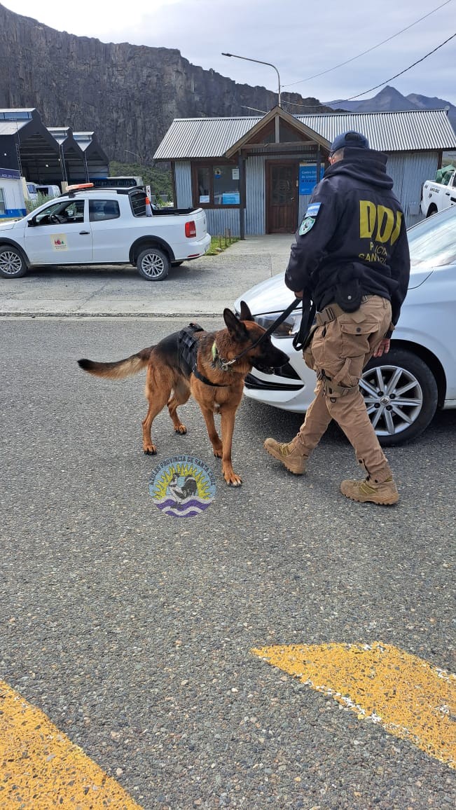 Operativo Preventivo en El Chaltén Resultados Positivos de la División Narcocriminalidad y Sección Canes (1)