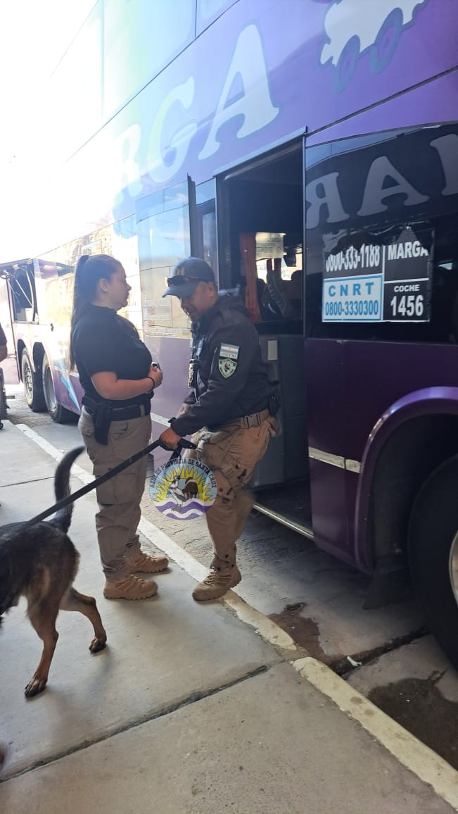 Operativo Preventivo en El Chaltén Resultados Positivos de la División Narcocriminalidad y Sección Canes (12)