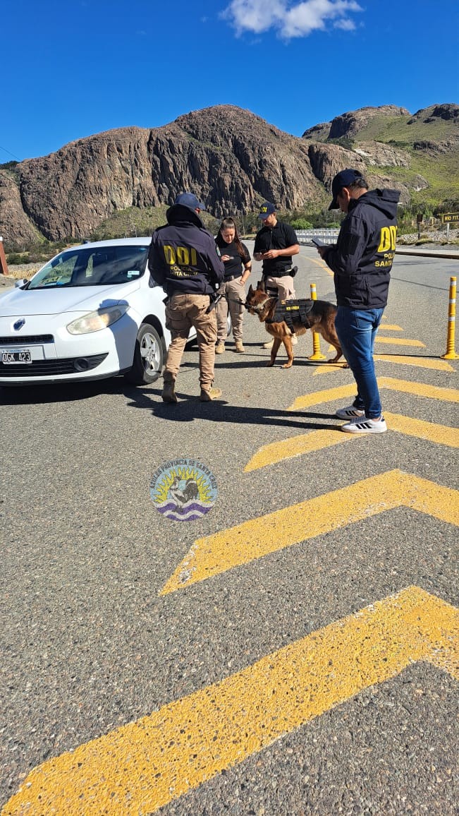 Operativo Preventivo en El Chaltén Resultados Positivos de la División Narcocriminalidad y Sección Canes (13)