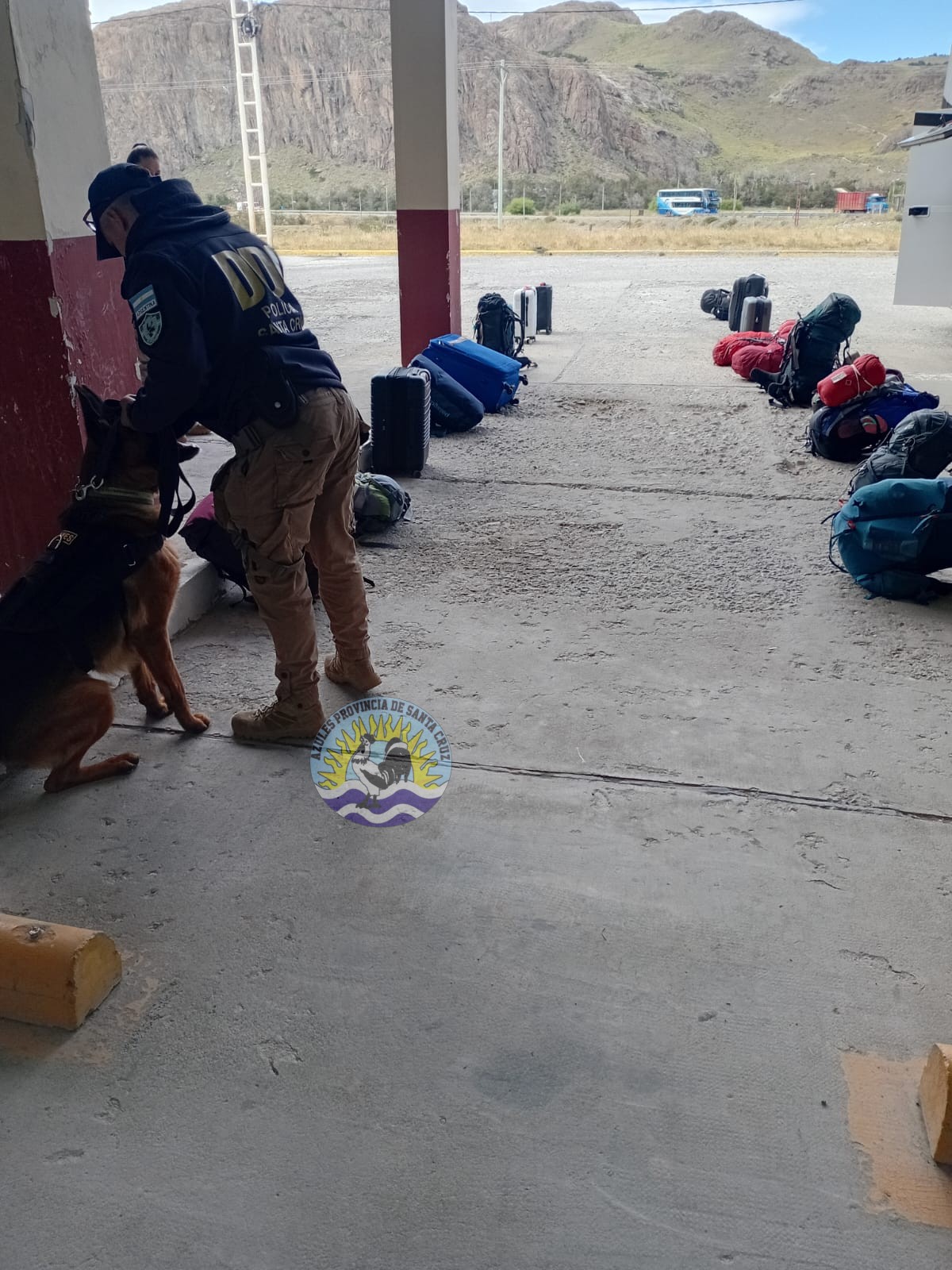 Operativo Preventivo en El Chaltén Resultados Positivos de la División Narcocriminalidad y Sección Canes (4)